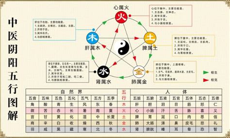 中醫陰陽五行學說|中醫基礎/氣一元論、陰陽學說、五行學說的關係